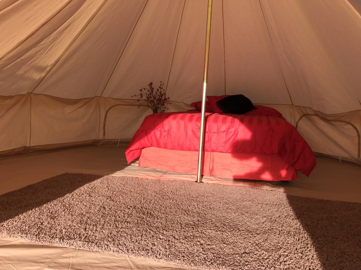 Zion View Camping Гілдейл Екстер'єр фото